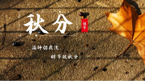 樓上樓門窗 | 白露秋分夜,一夜冷一夜，高端門窗安排上！